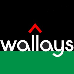 Logo Immo Wallays