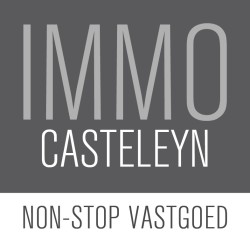 Logo Immo Casteleyn