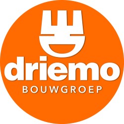 Logo Driemo